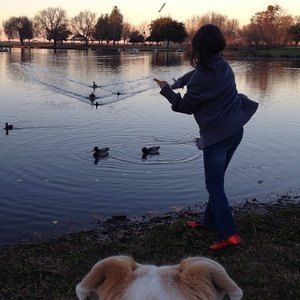 Meet your Posher, Crystal